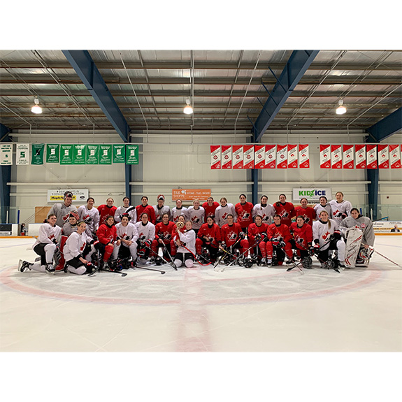 The Sports Village Vaughan’s Premier Sports & Recreation Facility